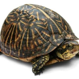 Meet your Posher, Alejandro